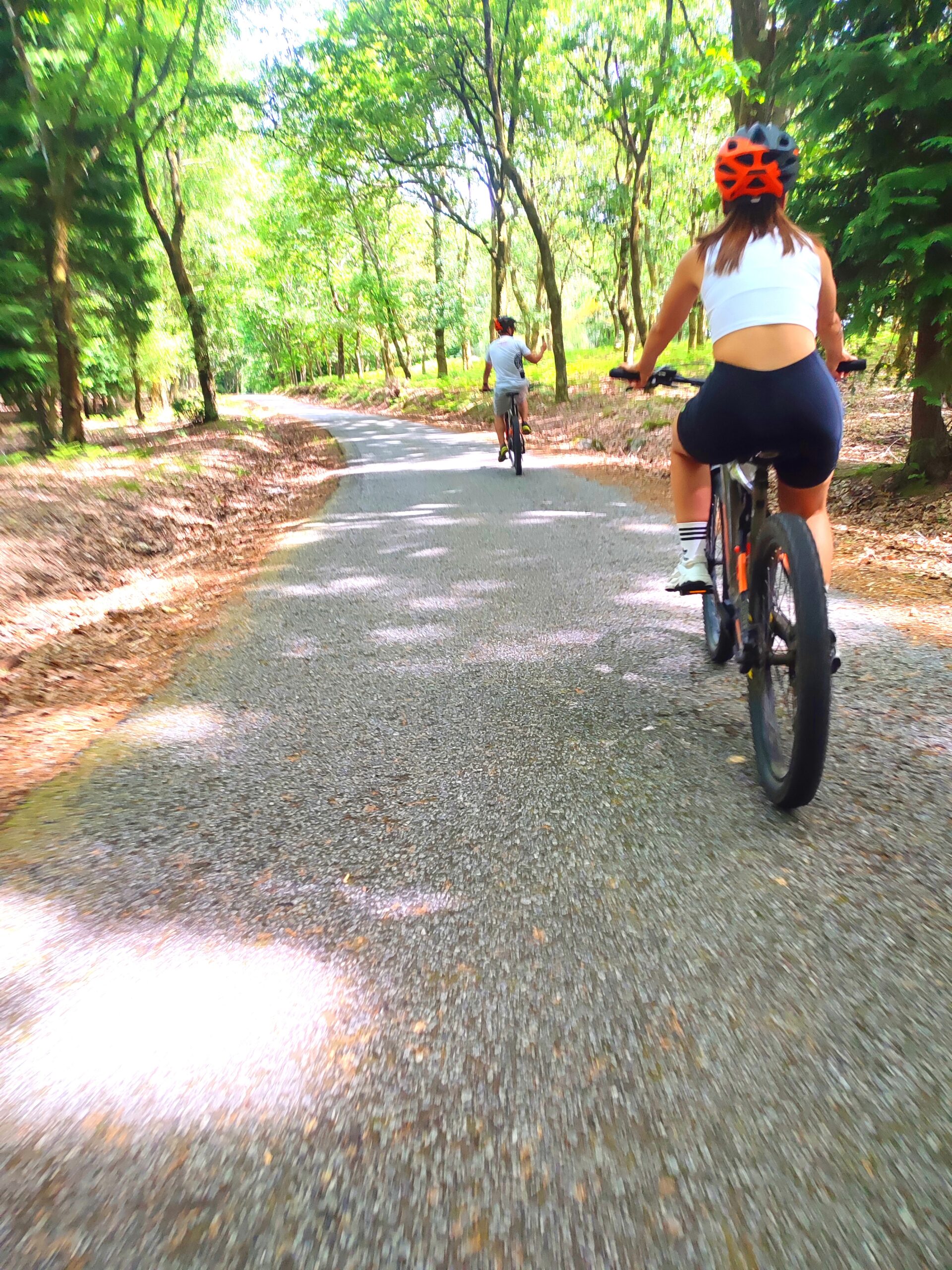 Recorrido en bicicleta eléctrica - Imagen 3